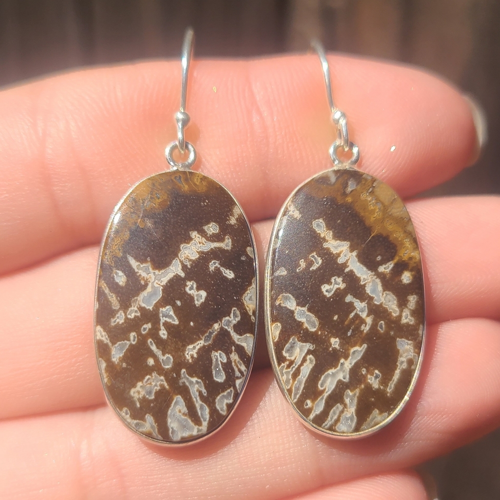 Palm Root Fossil Agate 925 Earrings